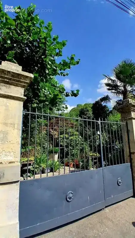 Sublime maison vigneronne, entièrement rénovée. - photo 5
