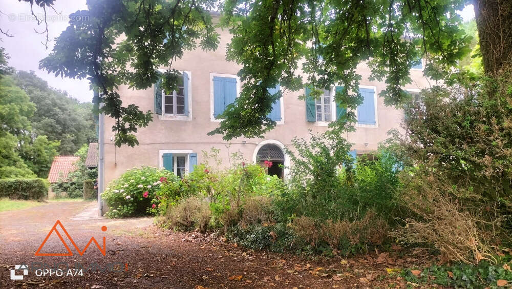 Maison à GAILLAC