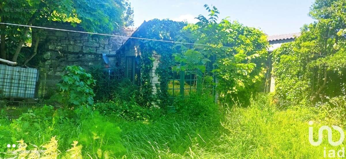 Photo 5 - Terrain à BOURGNEUF