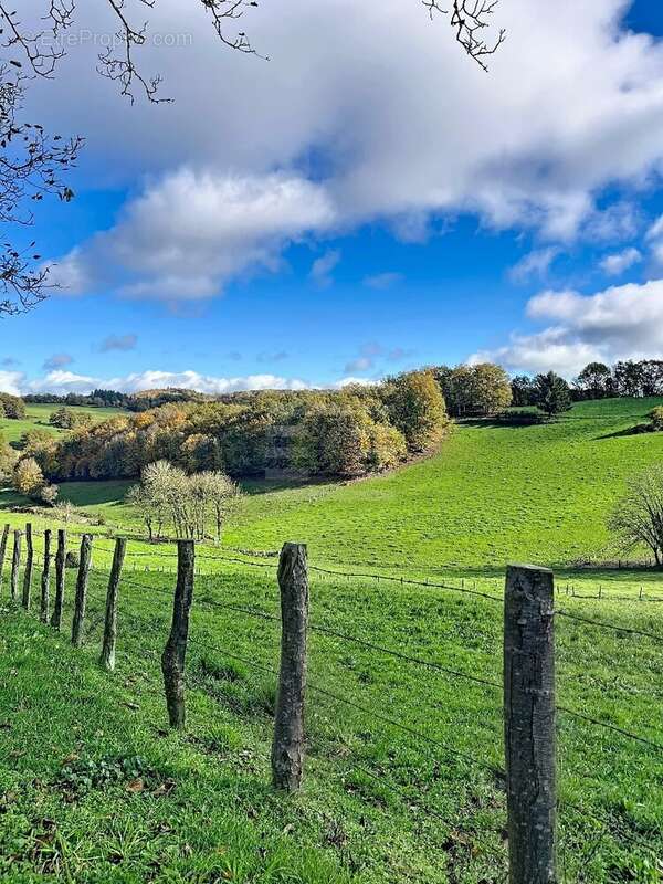 Maison à SAINT-FELIX-DE-LUNEL