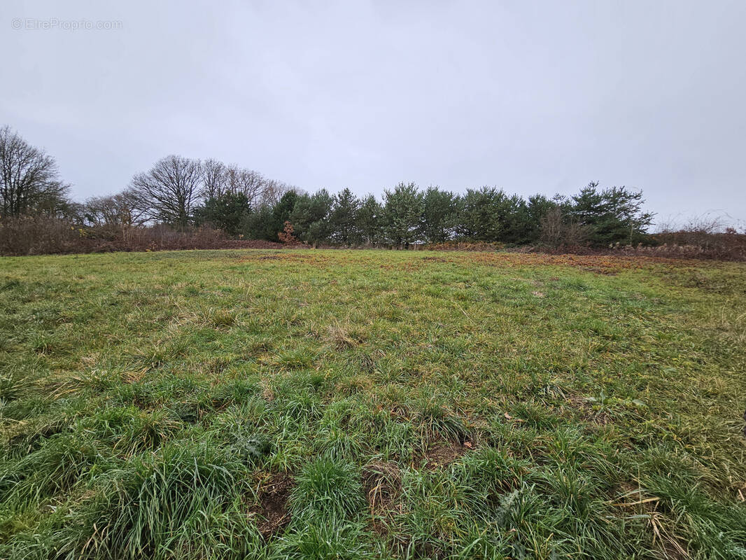 Terrain à SAINT-MARDS-EN-OTHE