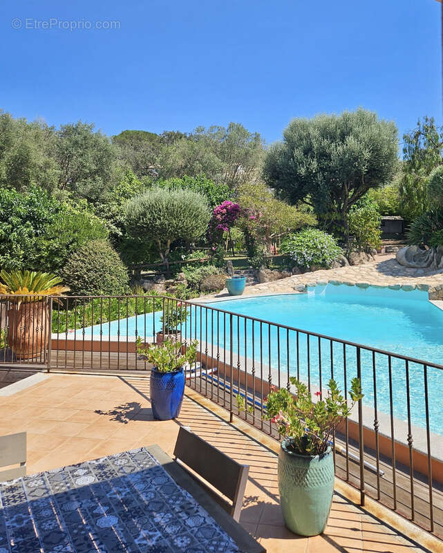Villa d’exception - porto vecchio - photo 2