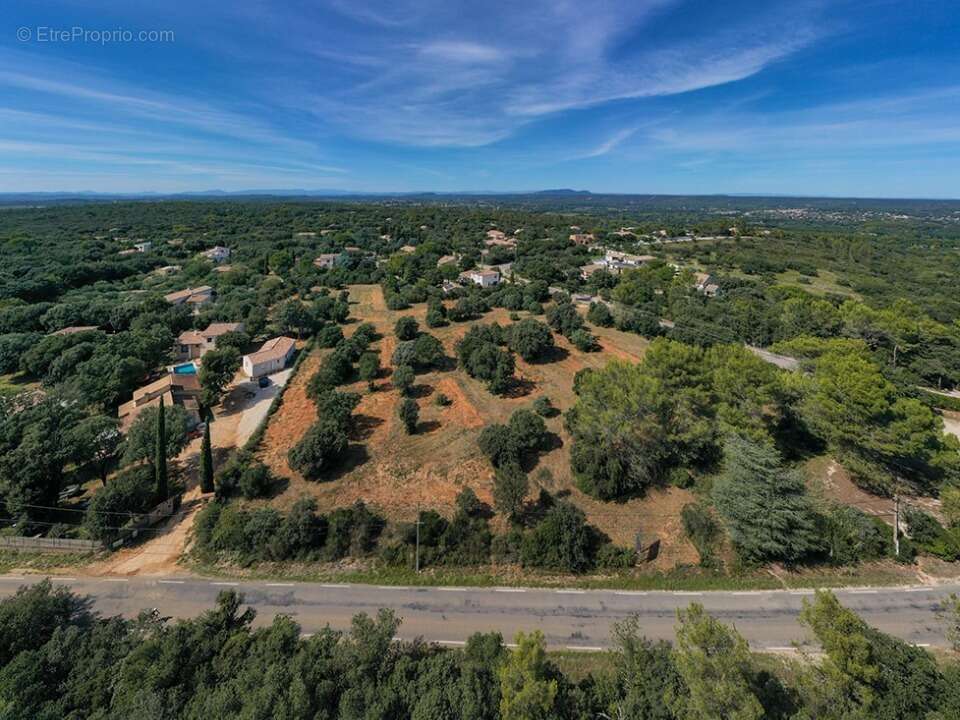 Terrain à SAINT-SIFFRET