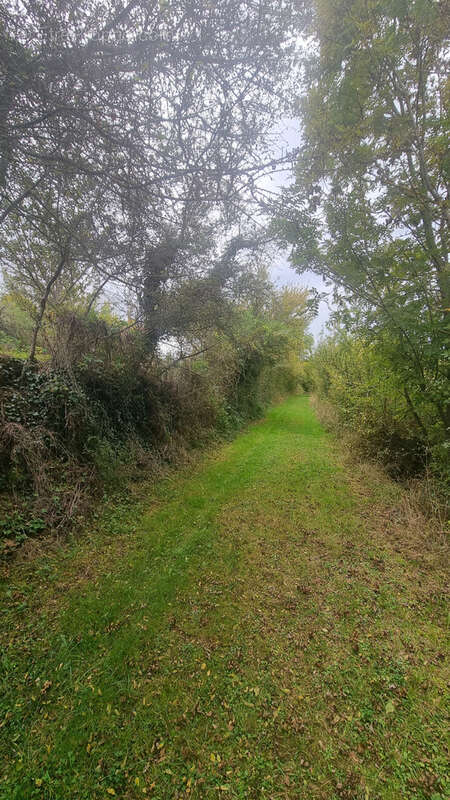 Maison à L&#039;ISLE-EN-DODON