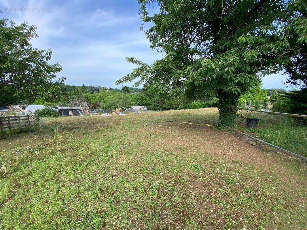 Terrain à SAINTE-ALVERE