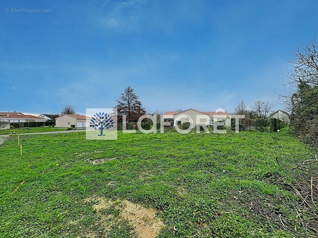 Terrain à BRESSUIRE