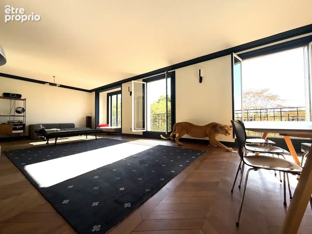 163m2 - Expo plein SUD OUEST sur la canopée du Parc des Buttes-Chaumont - photo 3
