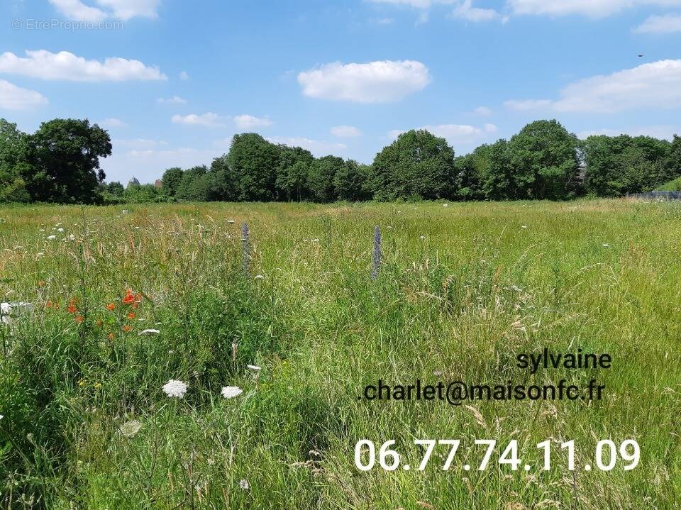 Terrain à HENIN-BEAUMONT