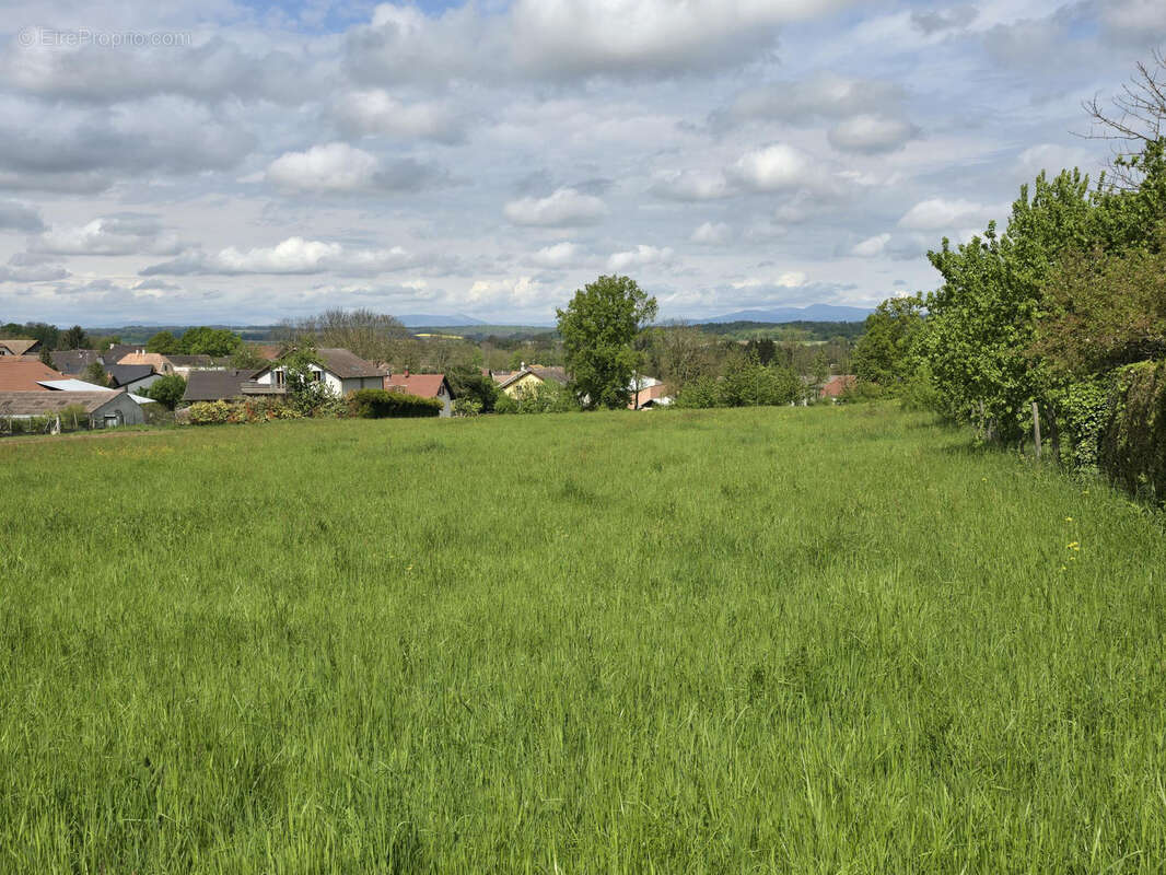 Terrain à MAGSTATT-LE-BAS