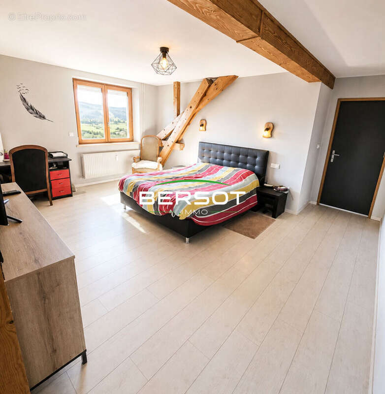 Grand appartement lumineux proximité Suisse - photo 4