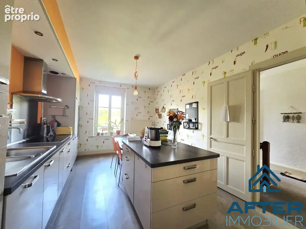 Maison 6 pièces 210 m² à vendre à Baccarat (54120) - photo 4