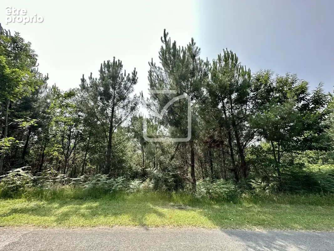 Terrain de 2241 m2 à Marquay - photo 3