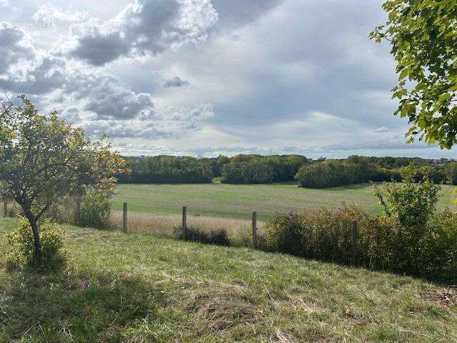 Autre à SAINT-GEORGES-LES-BAILLARGEAUX