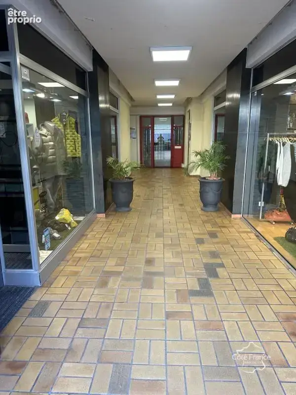 Excellente opportunité   local commercial de 250 m2 au coeur - photo 3