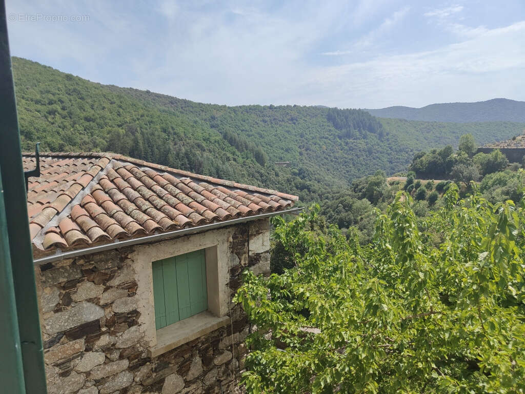 Maison de village sur Saint Martin - photo 13
