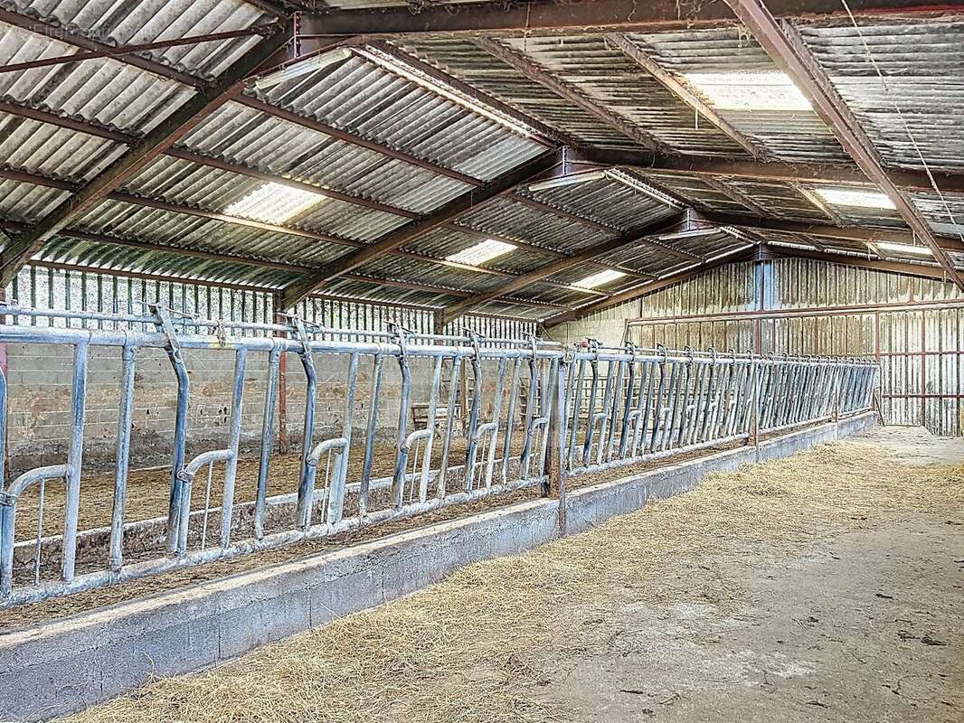 Propriété agricole avec 24 ha d'un seul tenant  Proche Réquista (Aveyron) - photo 15