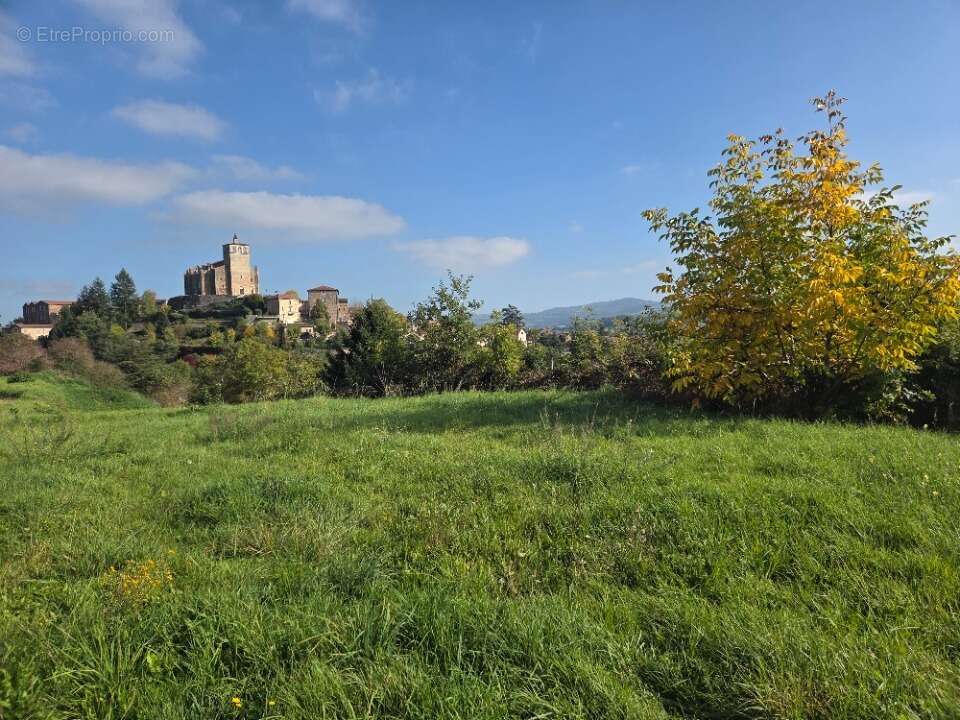 Terrain à SAINT-SYMPHORIEN-SUR-COISE