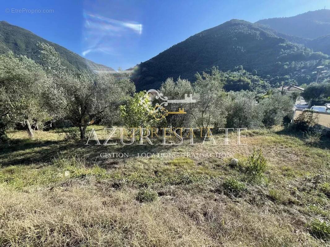 Terrain à BREIL-SUR-ROYA