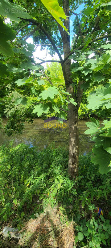 DOMBASLE SUR MEURTHE - 125 m2 - Maison de caractère au charme séculaire   L'Ancien Moulin de 1784 - photo 2
