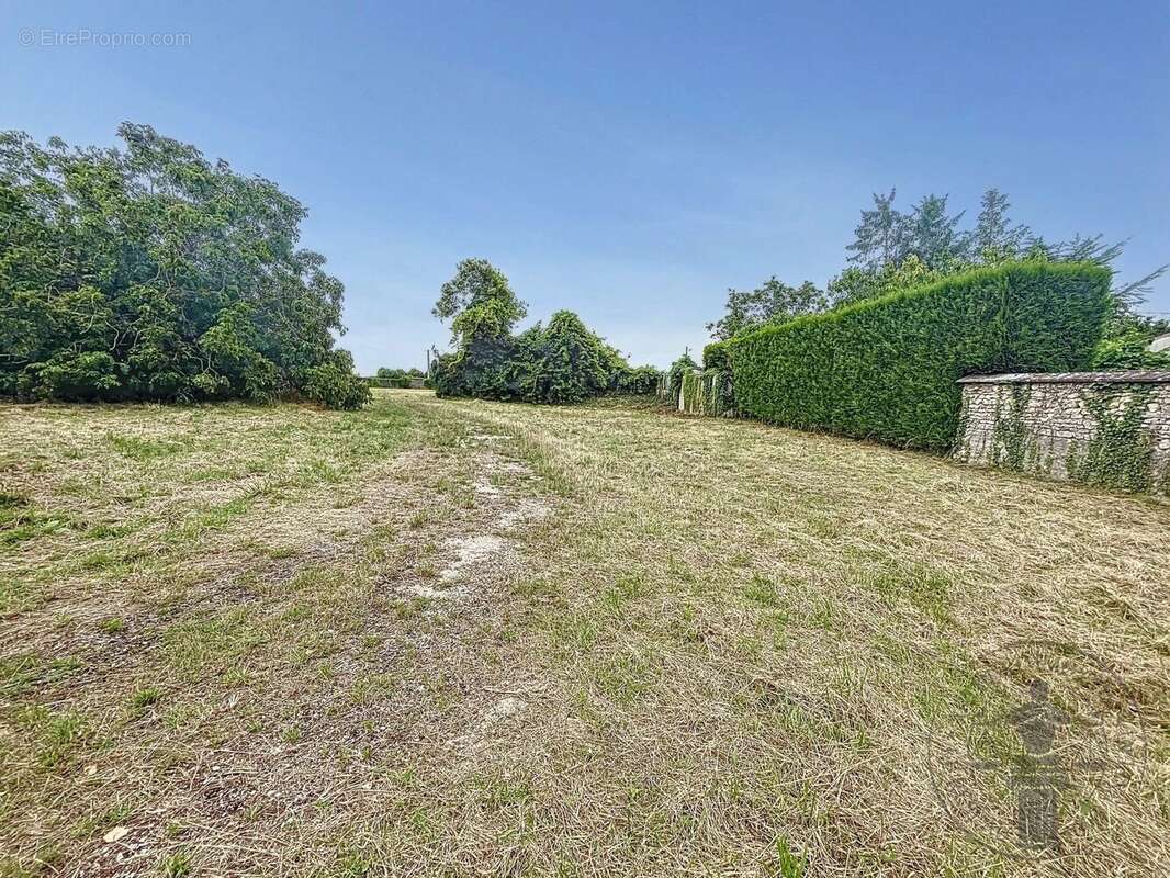Vente Terrain Angerville(91670) 82 000ï¿œ - photo 3