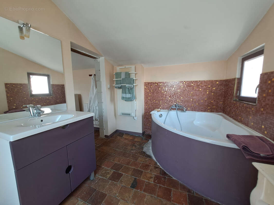 Maison de caractere des bords de loire - photo 6