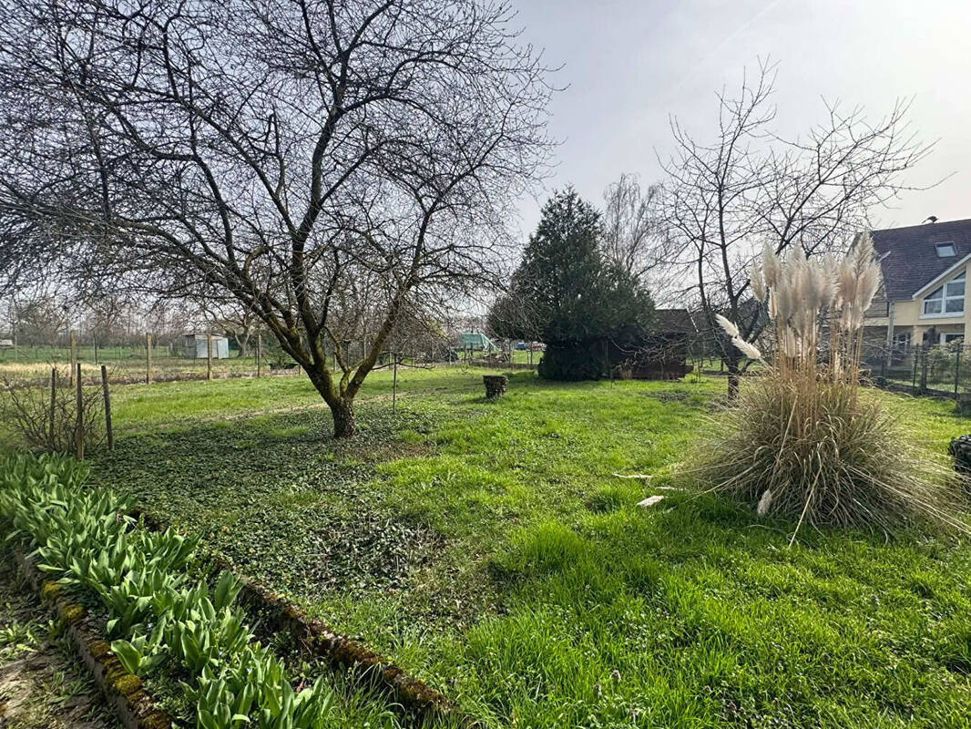 Terrain à GUNDOLSHEIM