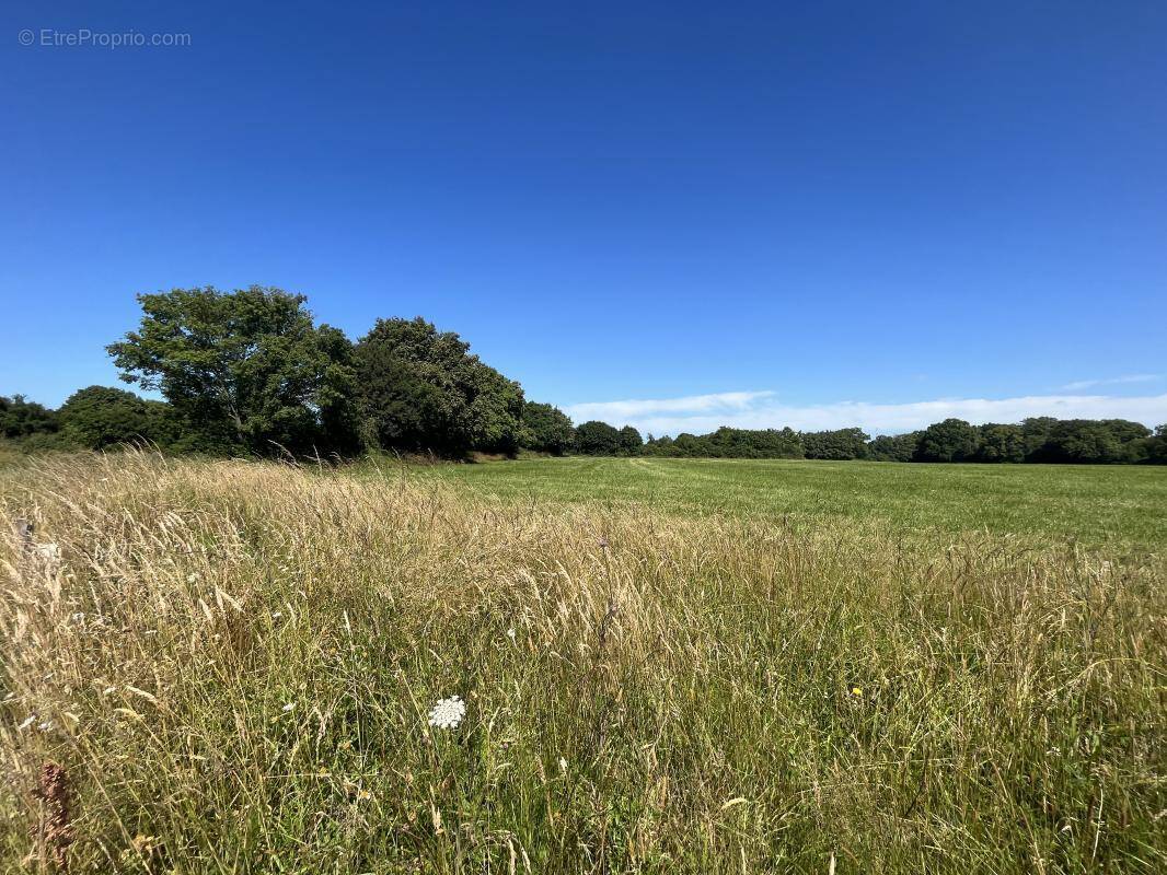 Terrain à CHOLET