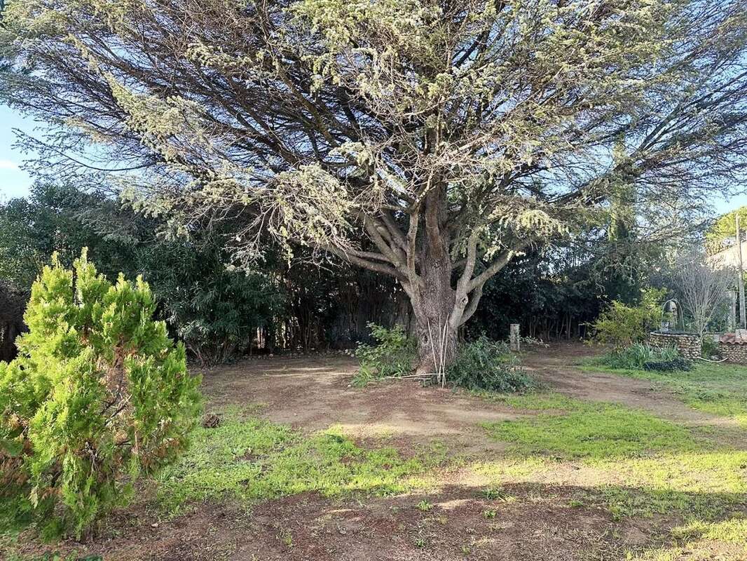 Maison à SAINT-ANDRE-DE-SANGONIS