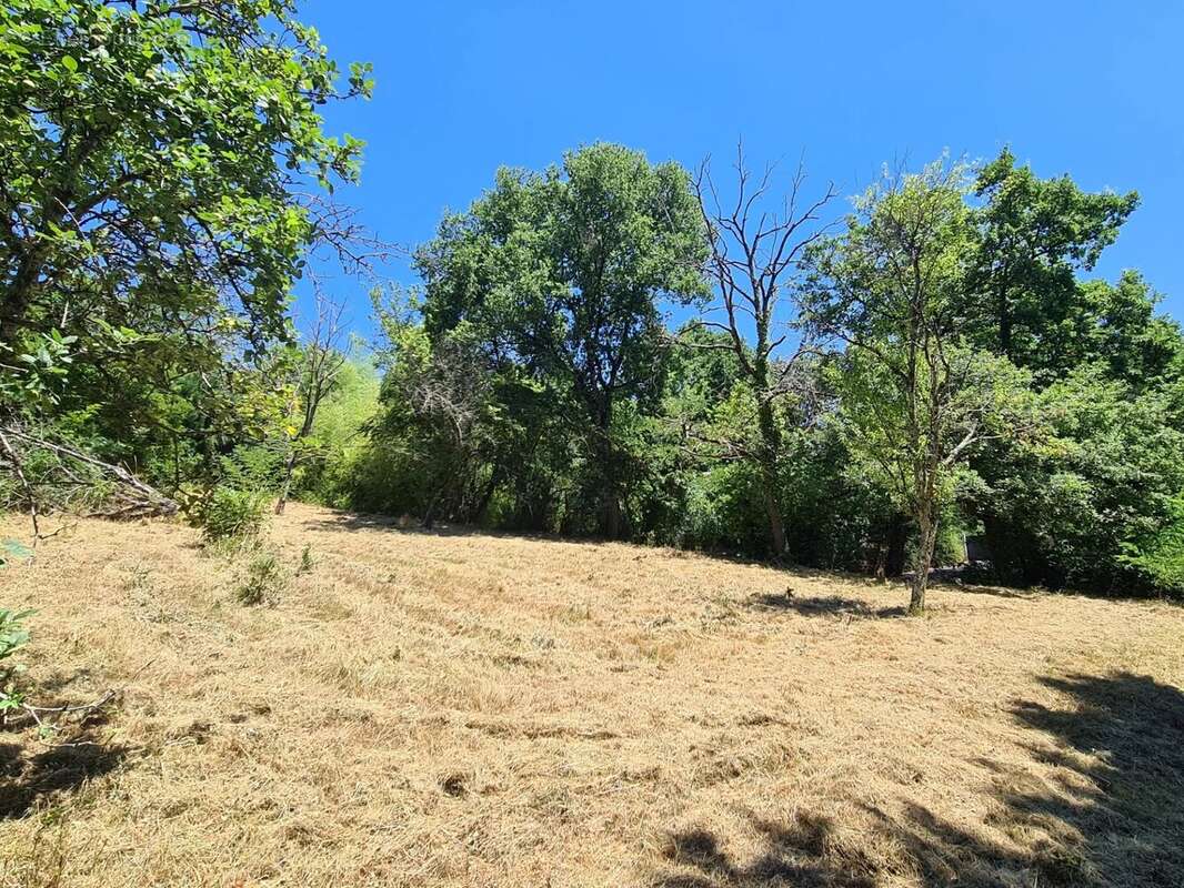 Terrain 1200 m2 - photo 4