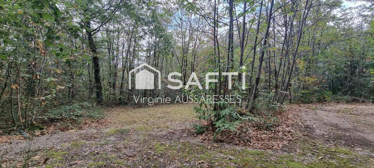 Photo 8 - Commerce à SERIGNAC