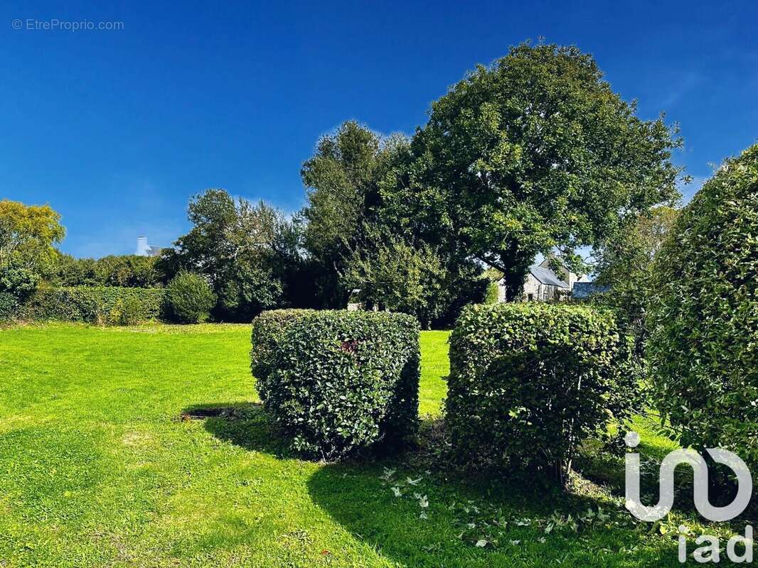 Photo 2 - Maison à TOURVILLE-SUR-SIENNE