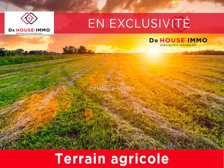Terrain à LE TEMPLE-SUR-LOT