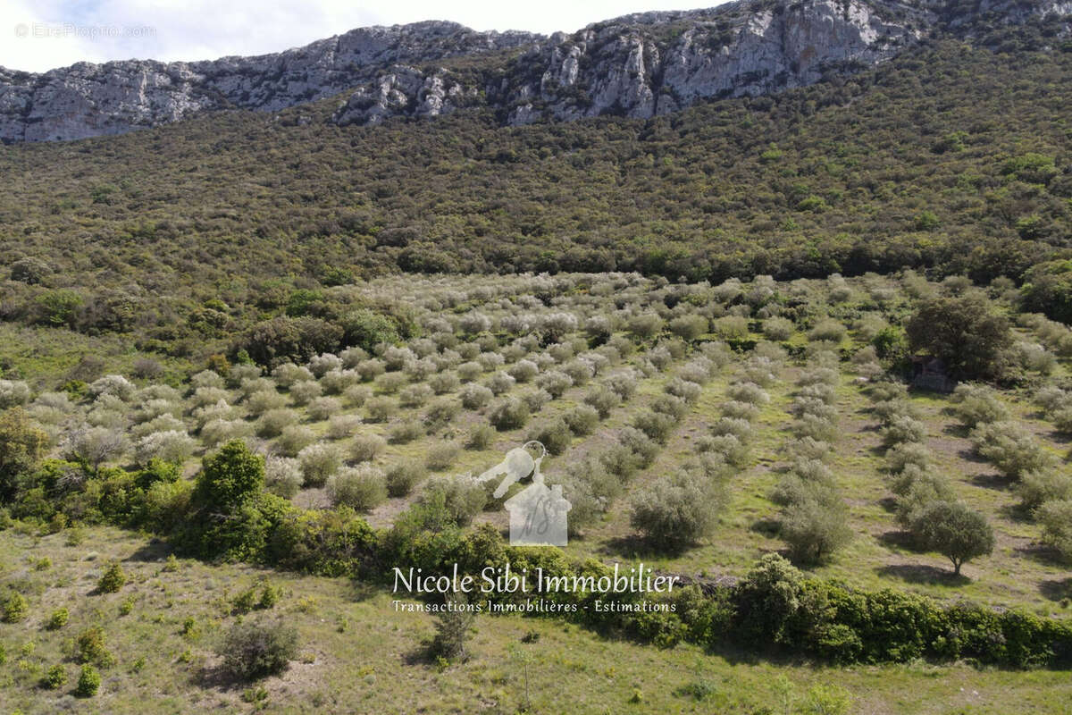 Terrain à SAINT-PAUL-DE-FENOUILLET