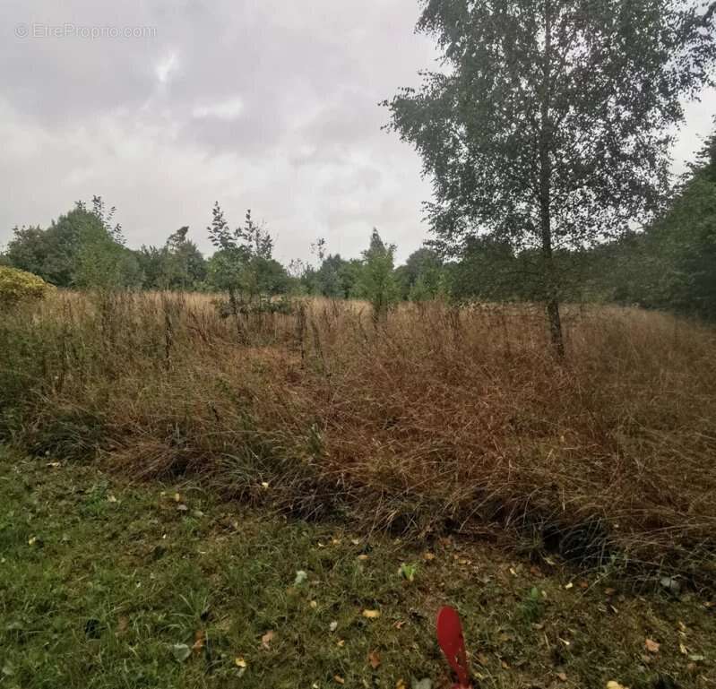 Meslan Vente Terrains à bâtir - photo 2