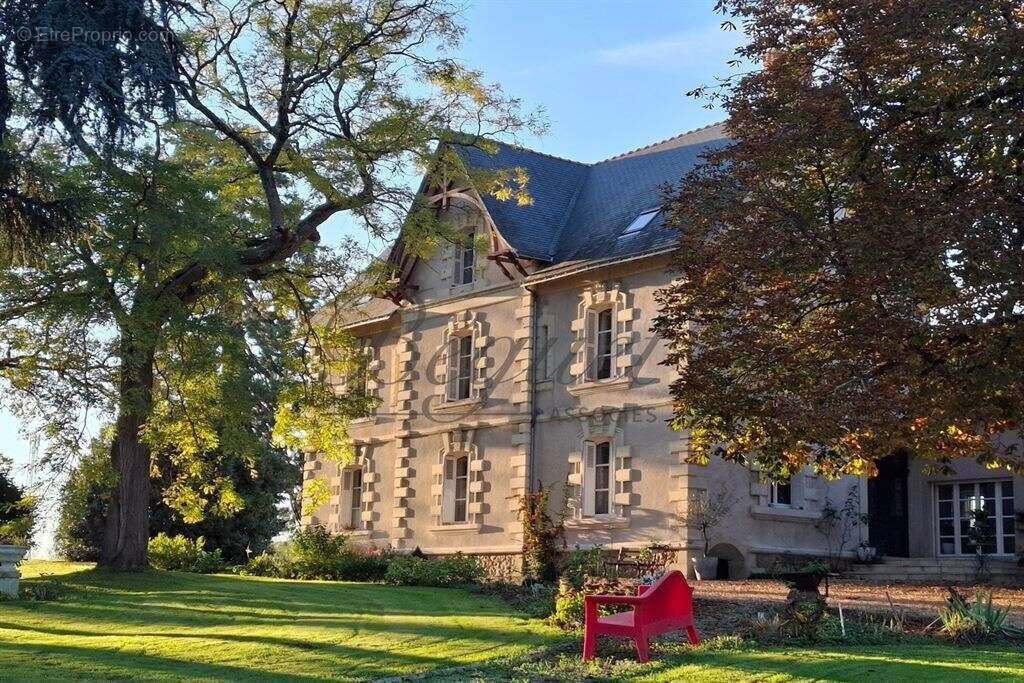 Côteaux-sur-Loire - Touraine - 37130 - 350 M² - 10 pièces - 7 chambres - piscine - parc 6 hectares - photo 2