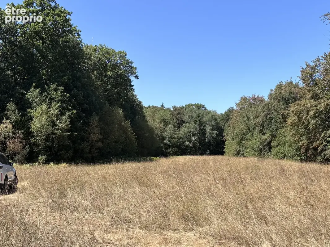 Vivre au coeur de la nature avec sa prairie et sa forêt dans une Maison de campagne sur 2,7ha... - photo 16