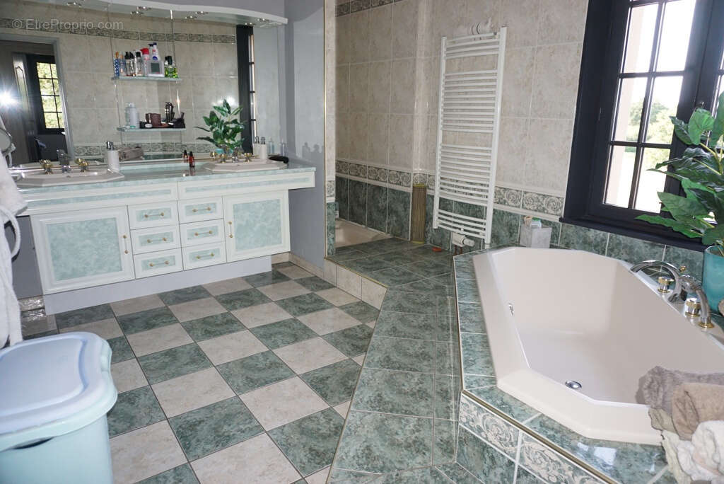 Balle maison avec terrain et etangs - photo 16