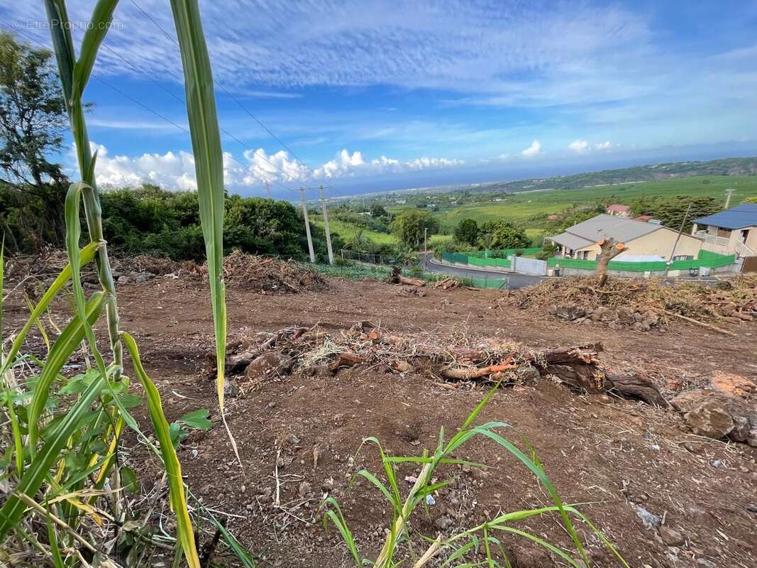 Terrain à LE TAMPON