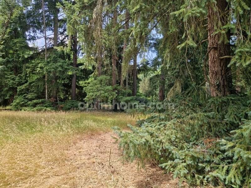 Maison avec grand terrain arboré à ARDON (45) - photo 9