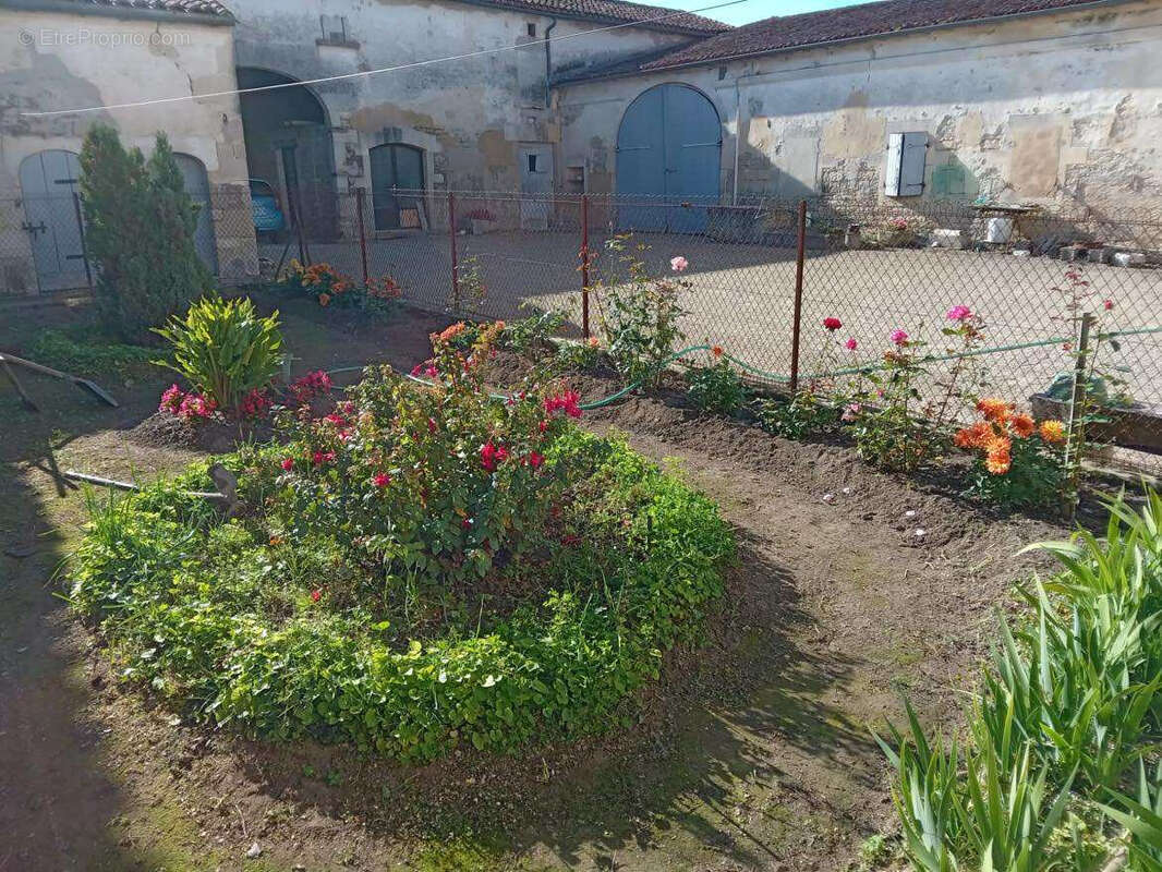 Maison à MACQUEVILLE