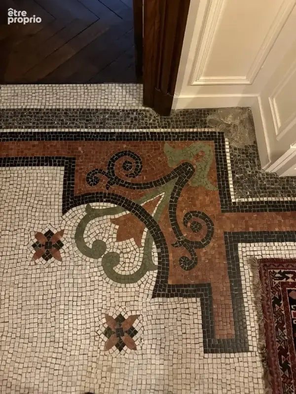 Axe Saint-Dié / Nancy - Maison de maître de caractère 332m2 - photo 5