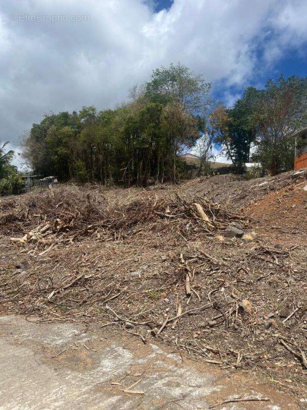 Terrain Riviere Salee 1212 m2 - photo 3