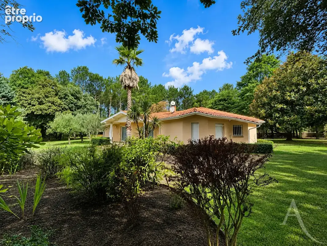 AZUR  Maison de 132 m² sur un parc de plus de 6 200 m² - photo 7