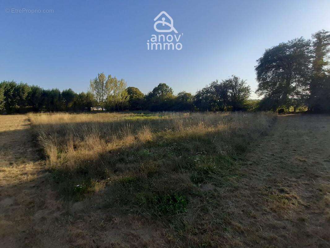 Votre Havre de Paix à Saint-Junien : Terrain Constructible d - photo 5