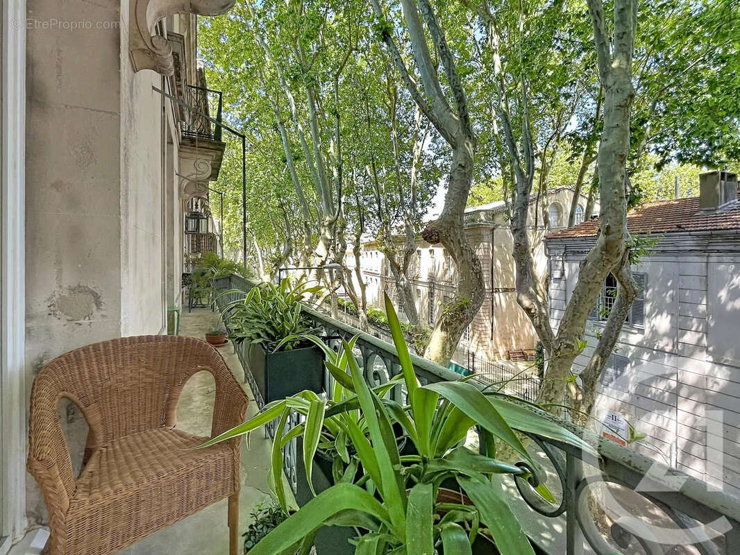 Appartement à AVIGNON