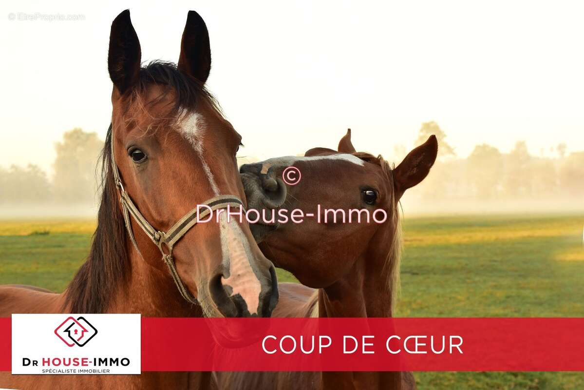 Maison à COMMEQUIERS