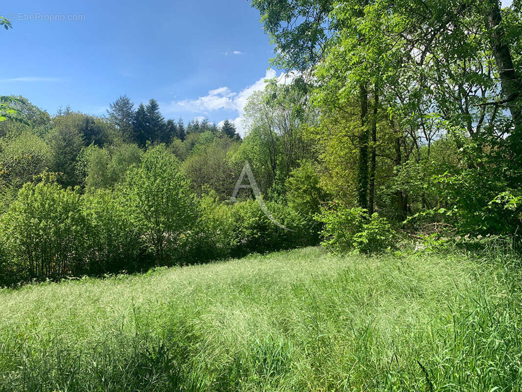 Terrain à FONTIERS-CABARDES