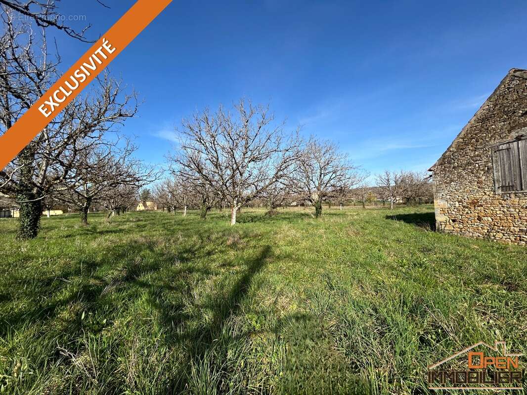 Maison à SAINT-JULIEN-DE-LAMPON