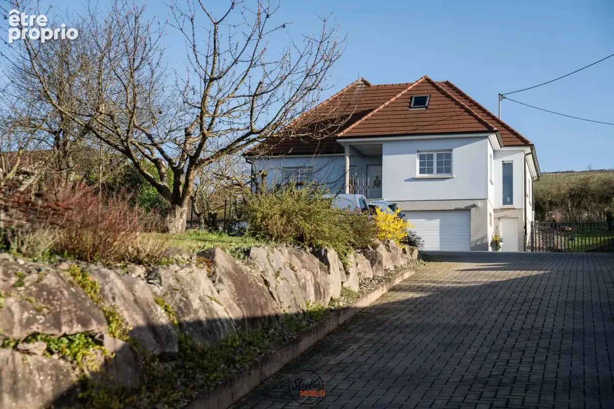 Maison 9 pièces 241 m² à vendre à Dangolsheim (67310) - photo 3