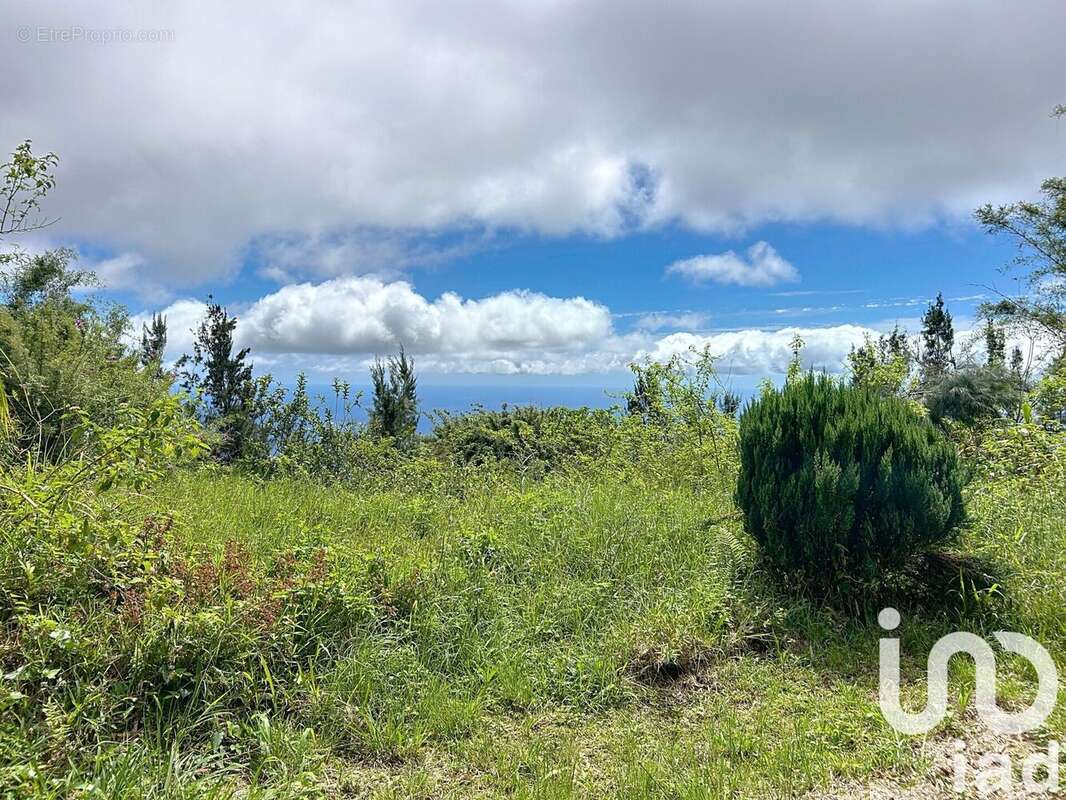 Photo 4 - Terrain à SAINT-DENIS